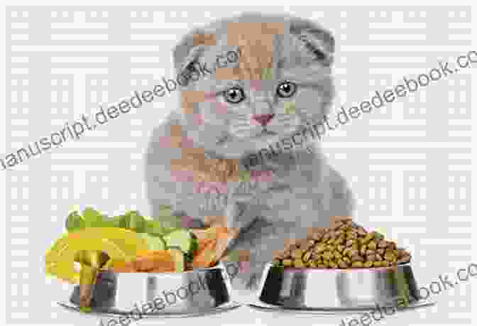 A Cat Eating A Healthy Diet Who Moved My Mouse?: A Self Help For Cats (Who Don T Need Any Help)