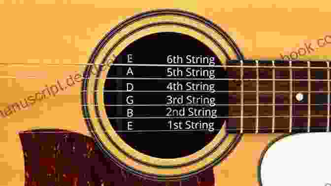 A Guitar With Six Strings Tuned To E A D G B E And A Wooden Body Pop Standards Strum Together: Ukulele Baritone Ukulele Guitar Mandolin Banjo