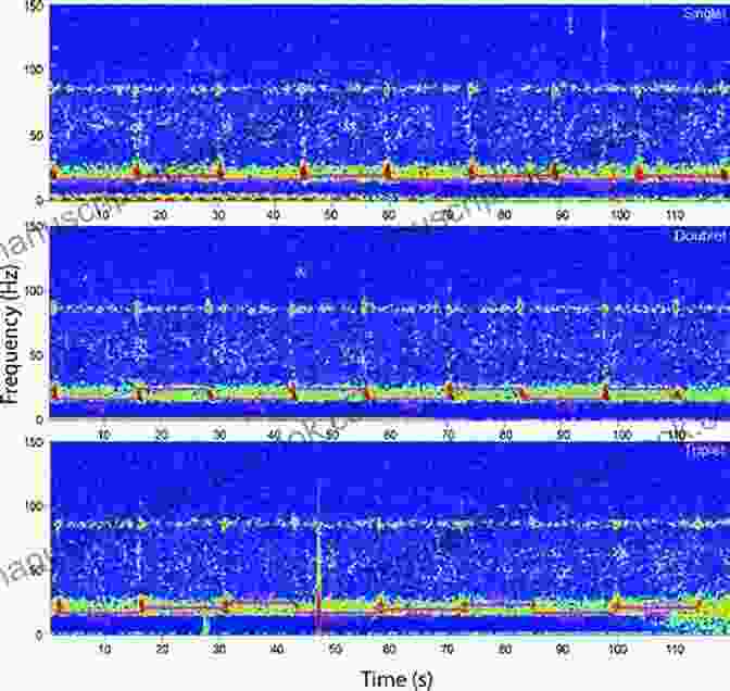 A Spectrogram Displaying The Complex Structure Of A Whale Song 50 Fabulous Facts About OCEAN ANIMALS