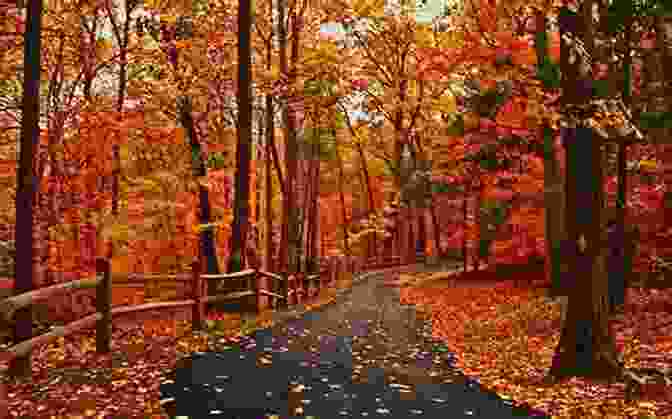 A Woman Walking Through A Forest Of Colorful Autumn Leaves, Symbolizing The Reflection And Loss Of The Season. Deeds Of Autumn: The Atmospheric International From The Award Winning Writer (Seasons Quartet)