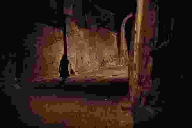 A Young Woman With Long, Dark Hair Stands Alone In A Dimly Lit Alleyway, Her Back Turned To The Viewer. The Alley Is Narrow And Dirty, With Graffiti Scrawled On The Walls. The Woman Is Wearing A Long, Flowing Dress That Is Stained With Blood. She Is Holding A Knife In Her Hand. The Girl On Rusk Street