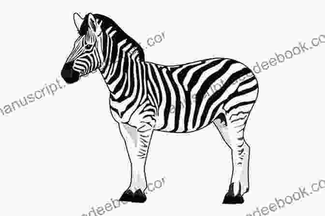 Illustration Of A Zebra In A Literary Context Wild Stripes Sarah Bakewell