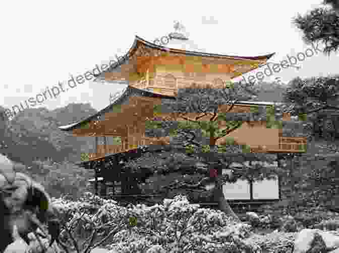Kinkaku Ji Temple In Winter Strolling Around Kyoto: Travel Beautiful 4 Seasons Of Kyoto Japan