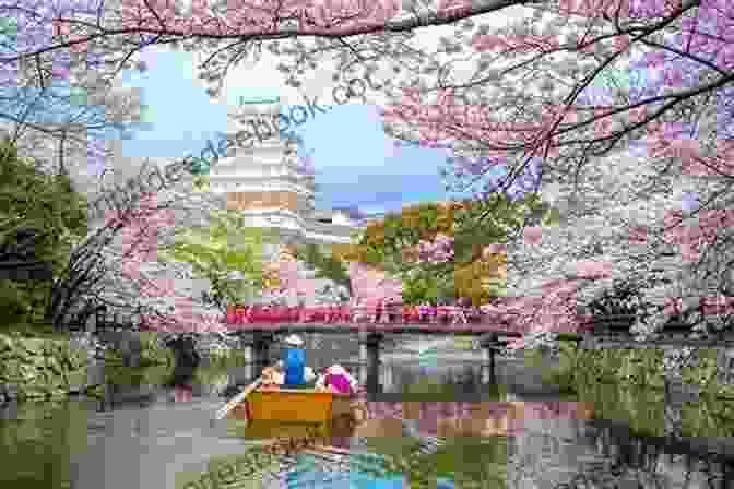 Kyoto Cityscape With Cherry Blossoms In Spring Strolling Around Kyoto: Travel Beautiful 4 Seasons Of Kyoto Japan