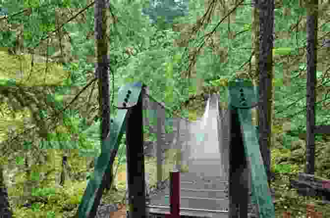 Trans Canada Trail Crossing A Wooden Bridge In A Forest Hiking In Ontario S Multi Regional Trails