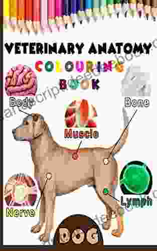 Veterinary Anatomy Colouring : Dog Anatomy Veterinary Physiology Workbook For Vet Nurses And Students 8 5 X 11 70 Pages