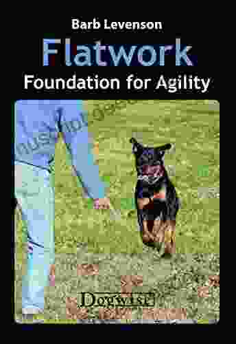 Flatwork: Foundation For Agility