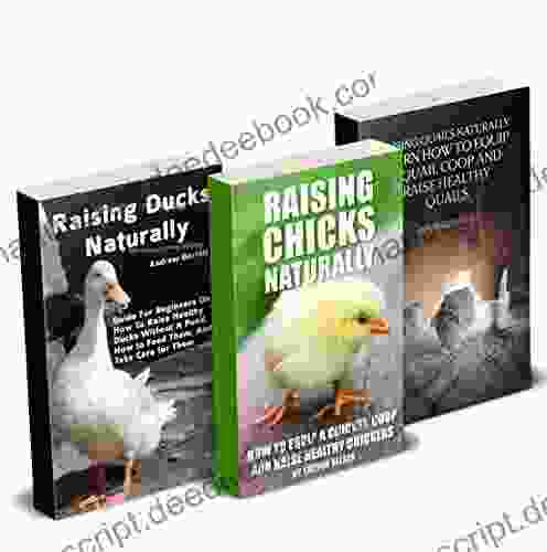 Homesteading Birds Farm: How To Raise Ducks Chickens And Quails On Your Farm