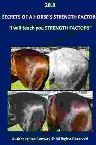 28 8 Secrets Of A HORSE S STRENGTH FACTORS: Our Aim Is To Teach Pro Punters How To Rate A Horse 100% Strength Fitness To Increase Their Chances Of Winning Teach You How To Win On A Stronger Horse