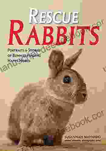 Rescue Rabbits: Portraits Stories Of Bunnies Finding Happy Homes