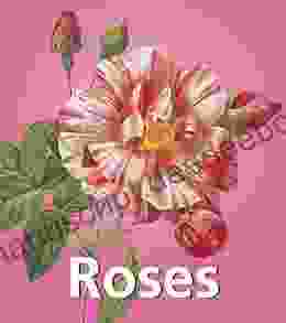 Roses (Mega Square) Lisa Jo Sagolla