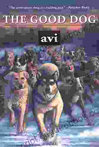 The Good Dog Avi