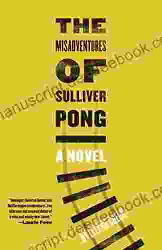 The Misadventures Of Sulliver Pong