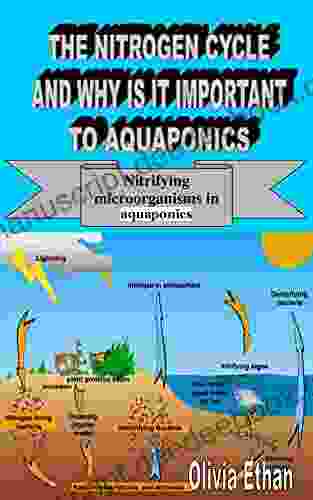 THE NITROGEN CYCLE AND WHY IS IT IMPORTANT TO AQUAPONICS: Nitrifying Microorganisms In Aquaponics